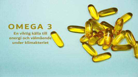 Omega-3-fettsyror: En viktig källa till energi och välmående under klimakteriet